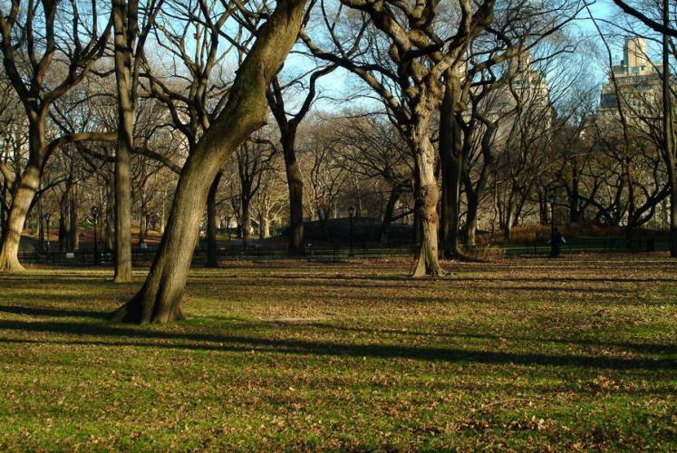 NYC_2006-12-04 14-59-40